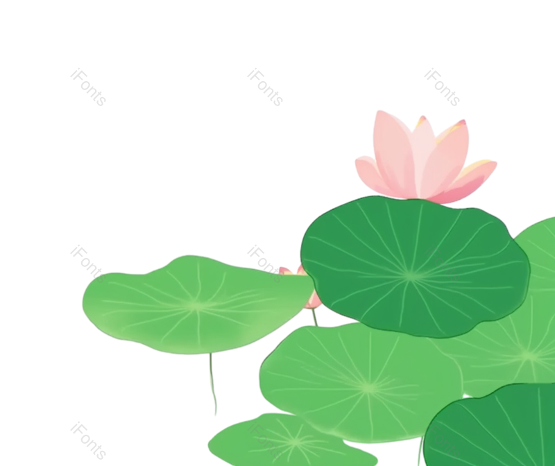 叶子图片,元素元素,荷花PNG,户外免抠素材
